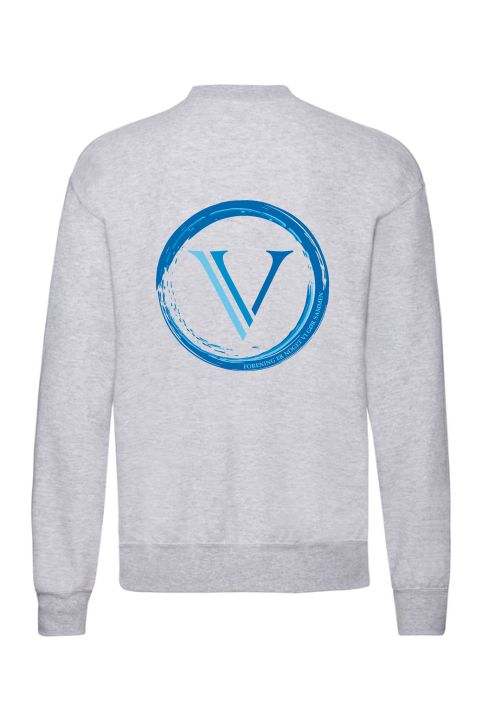 VI web ss200 b.jpg