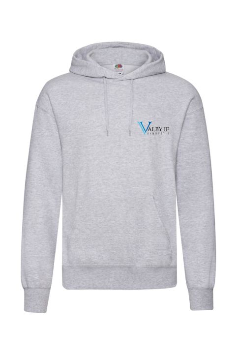 VI web ss224 f.jpg